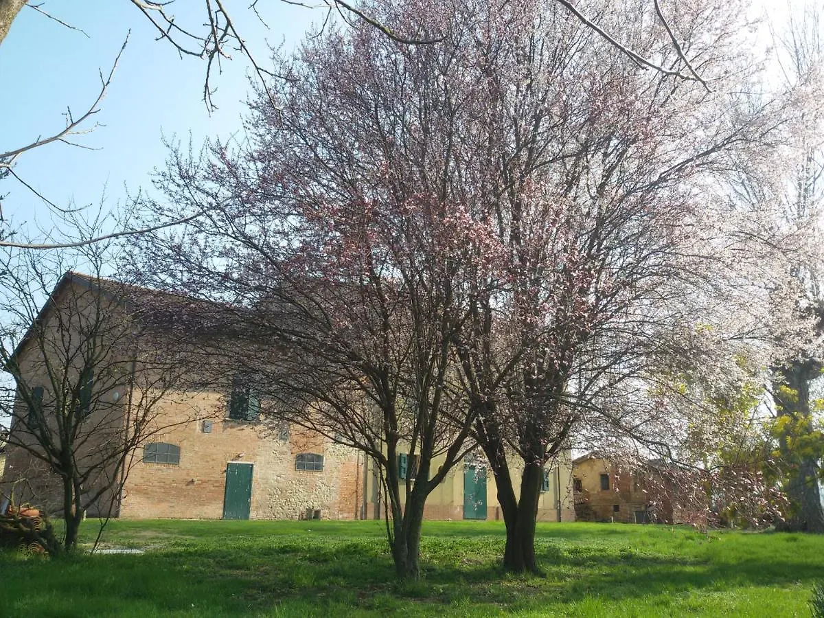 Il Boschetto Di Morgana Bed & Breakfast Castel San Pietro Terme