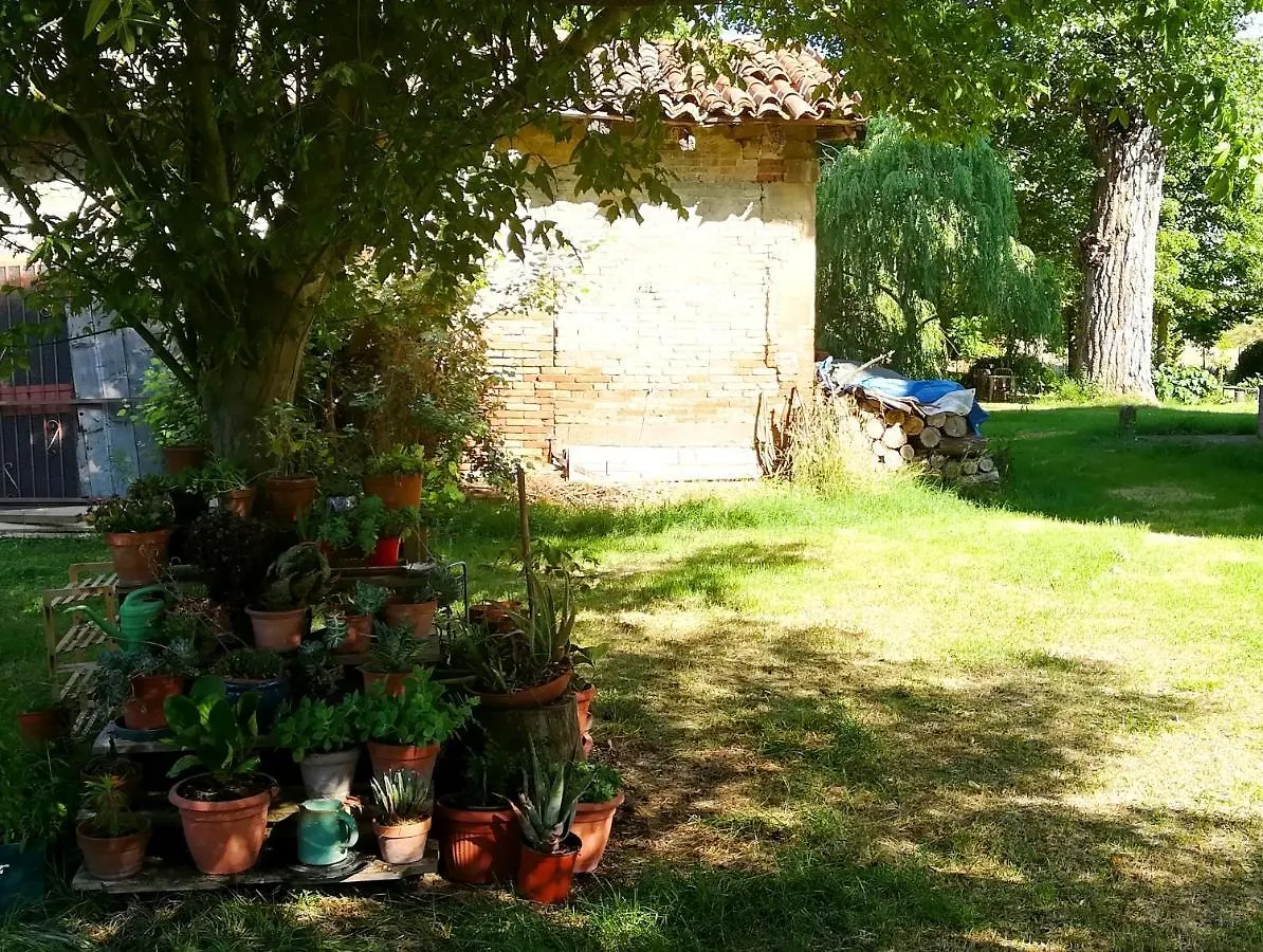 Il Boschetto Di Morgana Bed & Breakfast Castel San Pietro Terme